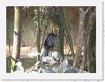 Dierentuin Burgers  Zoo 016 * 3648 x 2736 * (4.92MB)